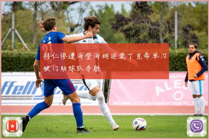 拜仁惨遭海登海姆逆袭丁克希单刀破门助球队夺胜